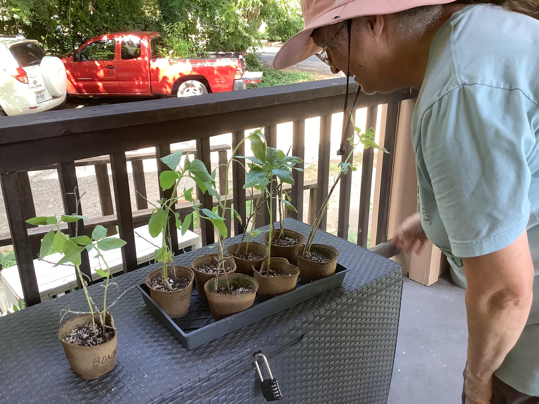 Nature of the Arts landscaping (JPG)